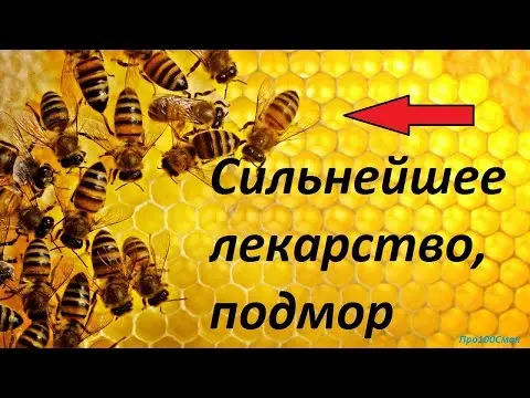 What is useful bee death for men