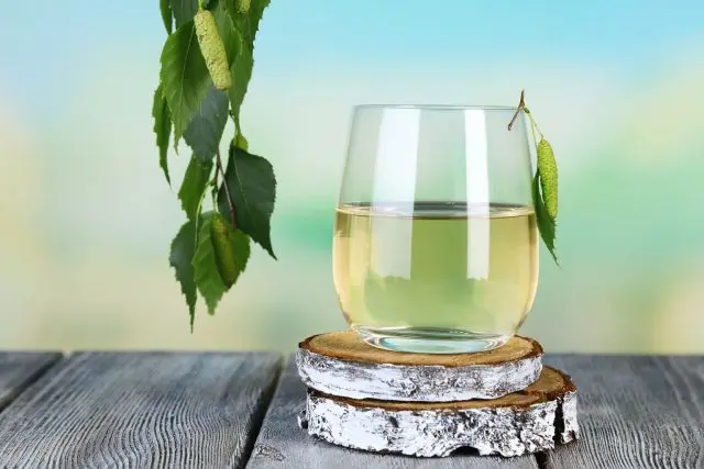 What is useful birch sap for the human body