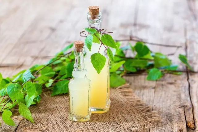 What is useful birch sap for the human body