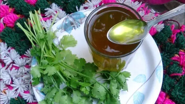 What is useful cilantro (coriander) for the body of a woman and a man