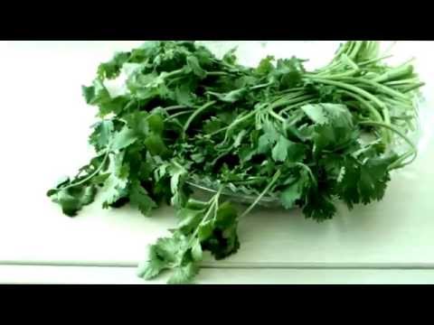 What is useful cilantro (coriander) for the body of a woman and a man