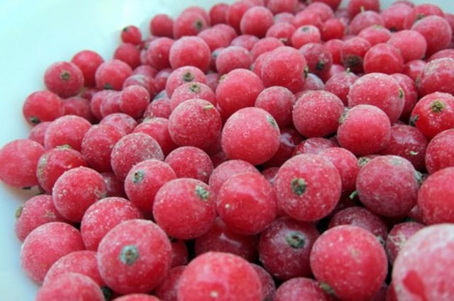 What is useful frozen currants