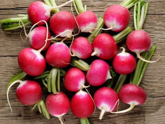 What is useful radish for the body of a woman, a man, during pregnancy, during breastfeeding, for weight loss