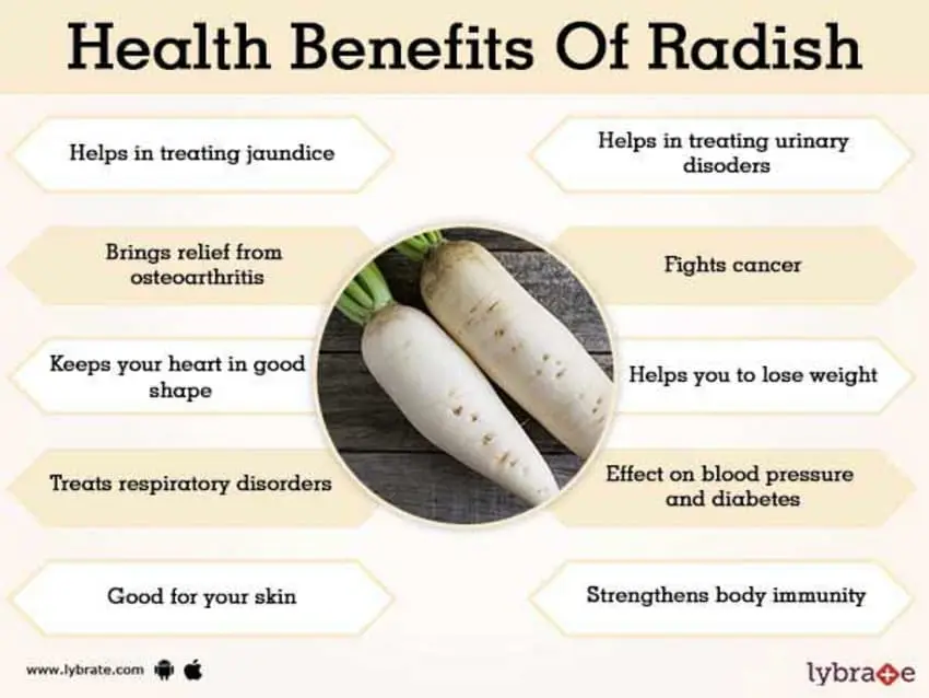 What is useful radish