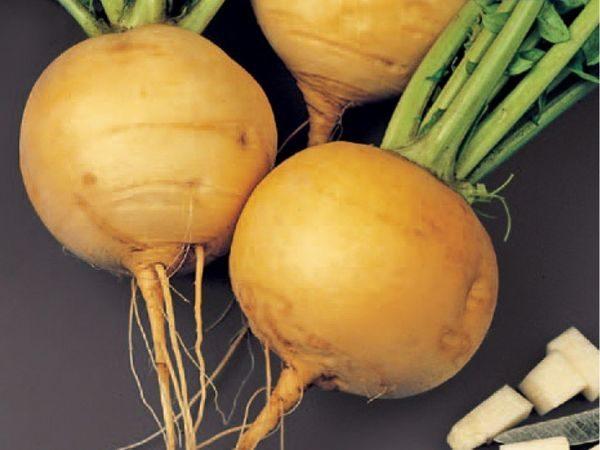 What is useful turnip for the human body: composition, calorie content of raw, boiled, stewed