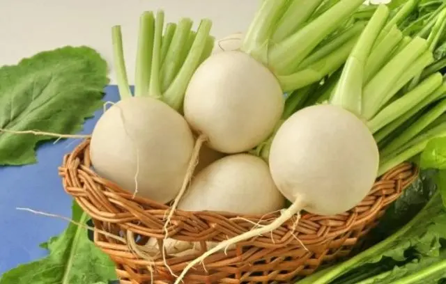 What is useful turnip for the human body: composition, calorie content of raw, boiled, stewed