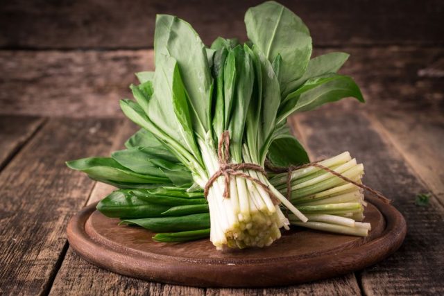 What is useful wild garlic