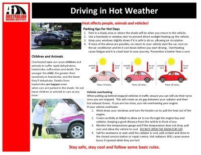 What not to leave in the car in hot weather? [WE EXPLAIN]