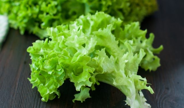 What salad can be grown on the windowsill