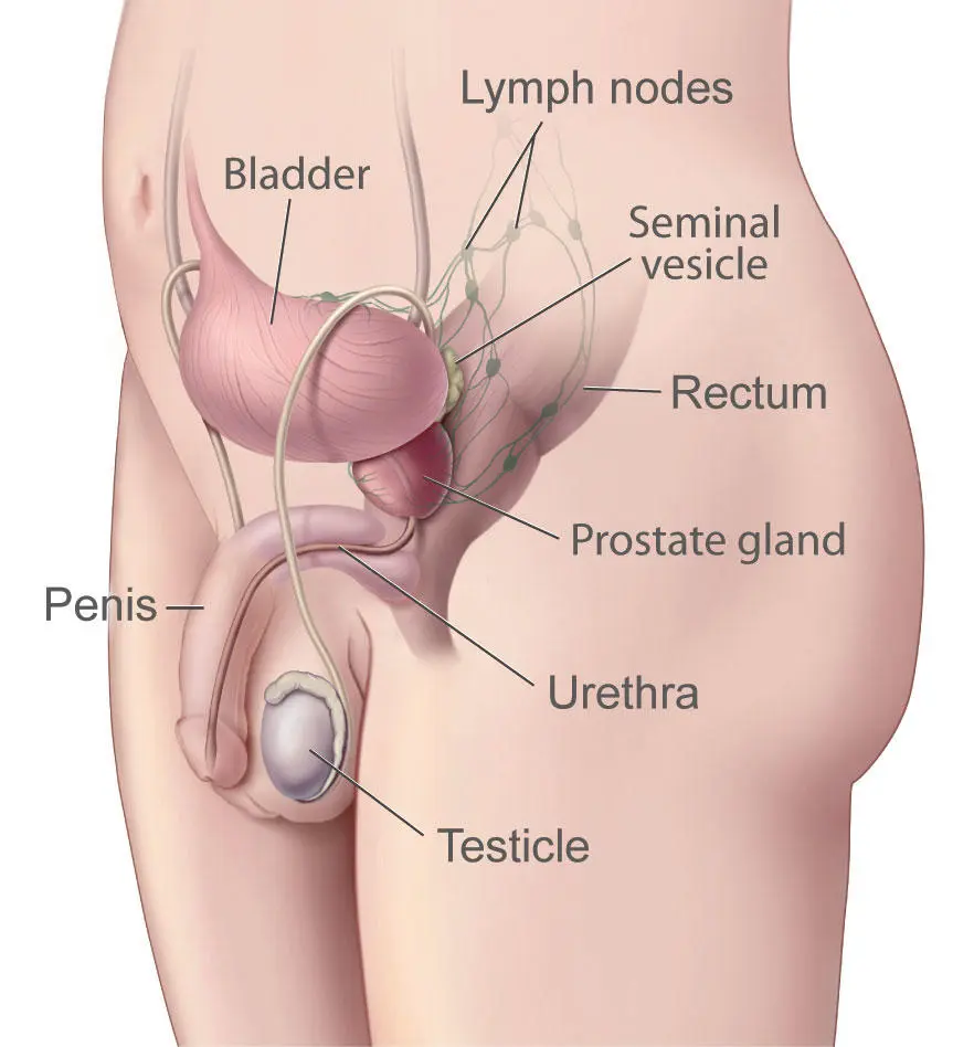 What should be changed in the prostate cancer care system?