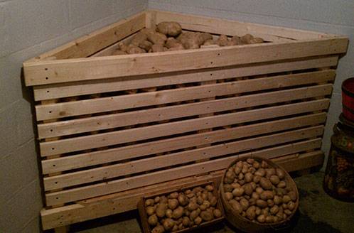 What temperature should be for storing potatoes 