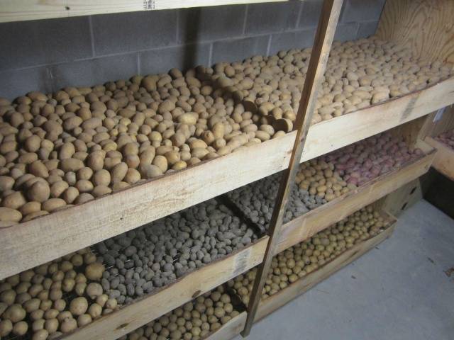 What temperature should be for storing potatoes 