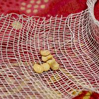 What to do if eggplant seedlings stretched out