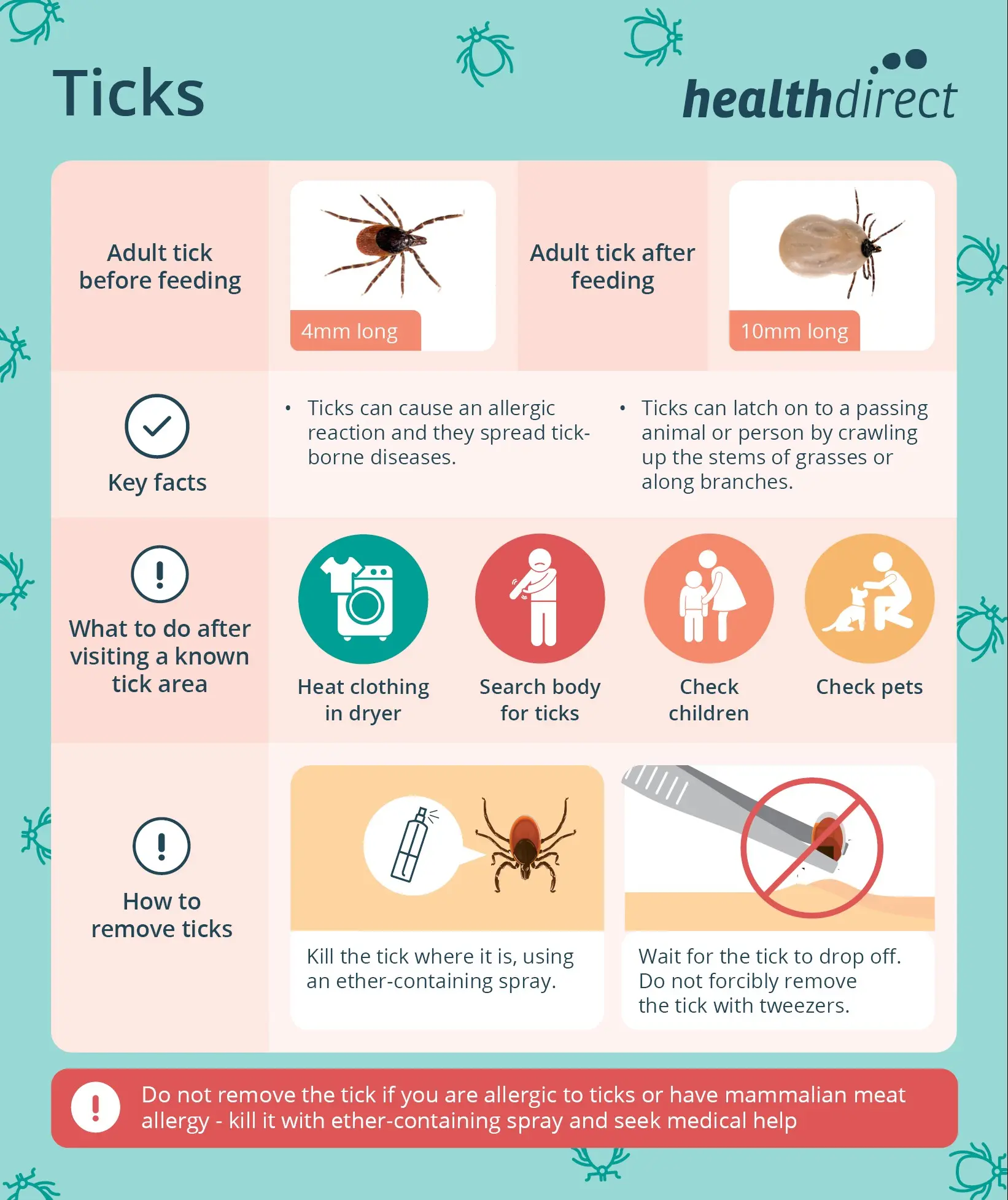 What to do when a tick bites? [WE EXPLAIN]