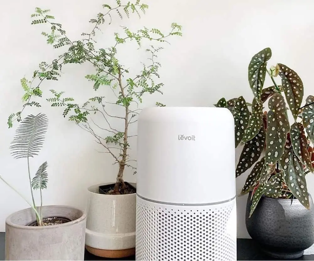 What to look for when choosing an air purifier? Why is it worth paying more? Choose wisely!