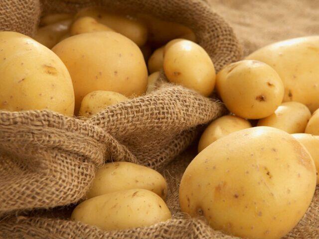 What varieties of potatoes are the most crumbly and delicious