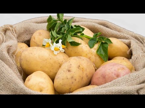 What varieties of potatoes are the most crumbly and delicious