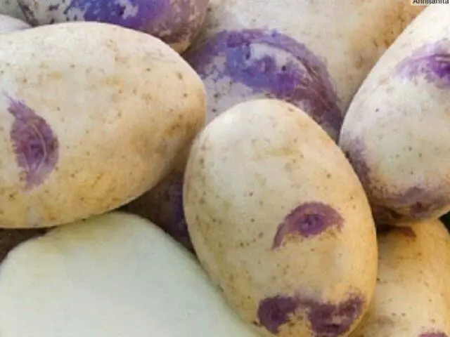 What varieties of potatoes are the most crumbly and delicious