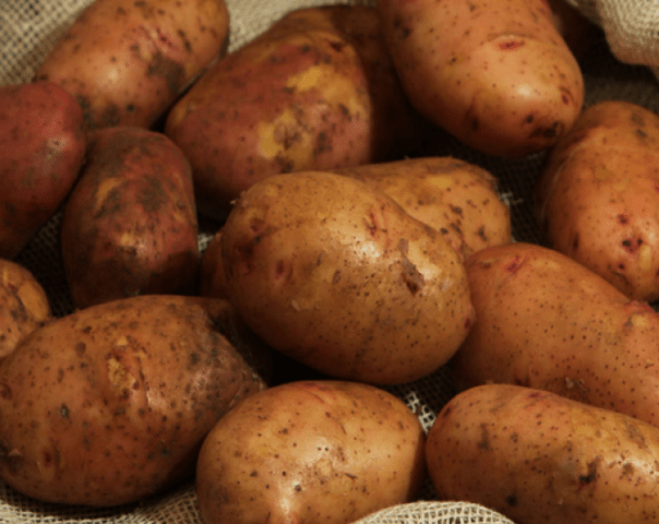 What varieties of potatoes are the most crumbly and delicious