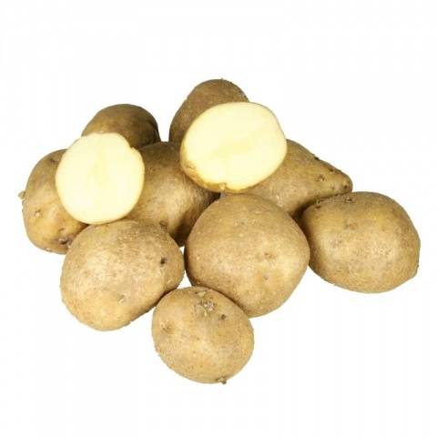 What varieties of potatoes to choose for storage