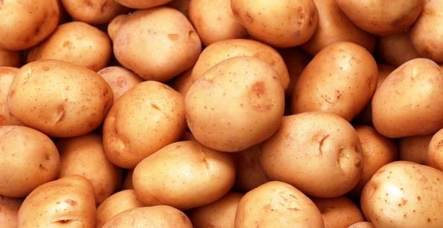 What varieties of potatoes to choose for storage