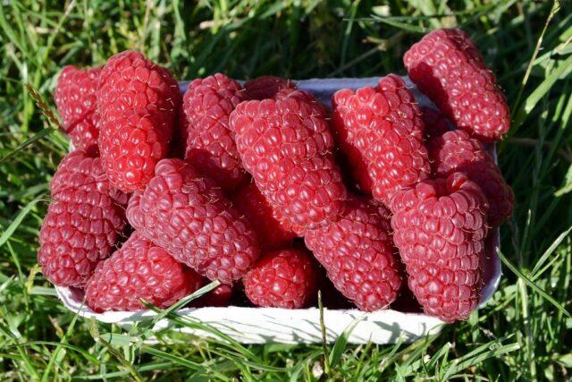 What varieties of raspberries are large and very sweet