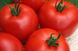 What varieties of tomatoes are suitable for juice