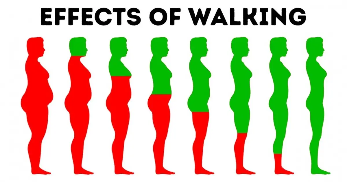 What will happen to your body if you walk every day? The changelog is impressive