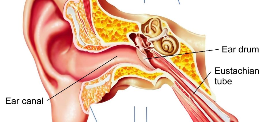 What&#8217;s causing the throbbing in the ear?