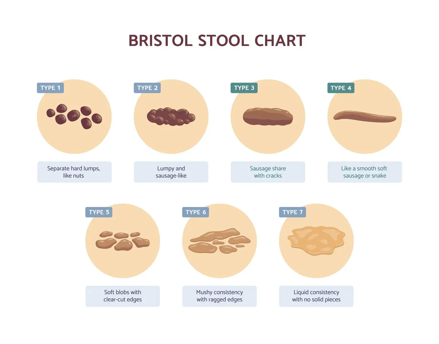 What&#8217;s in the stool? A simple study reveals a lot about you