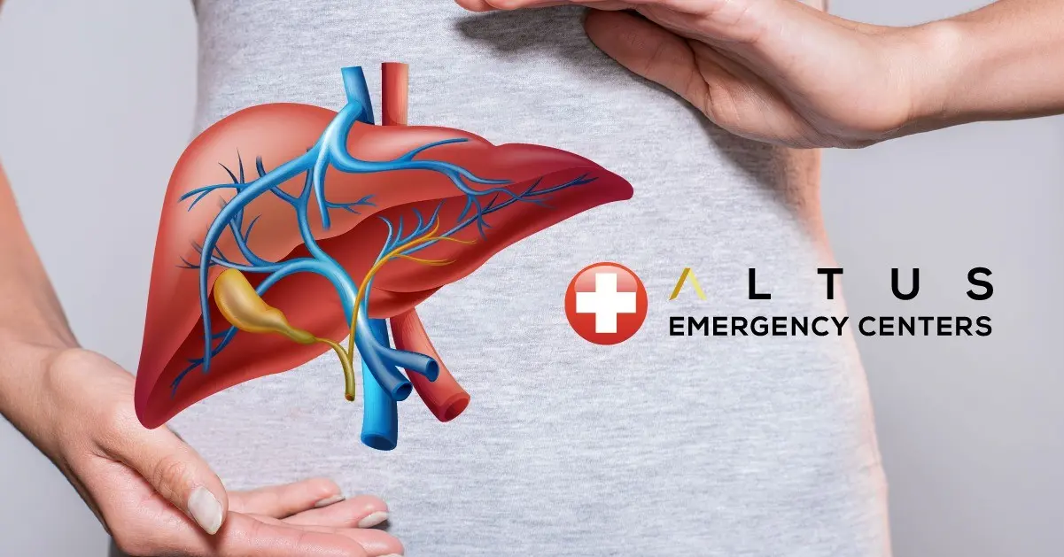 What&#8217;s on our liver? Liver problems, emergency help, prevention