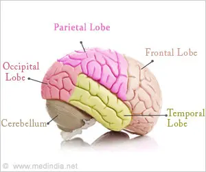 What&#8217;s really hiding in the brain?