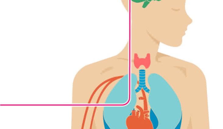 When a stroke is due, the body sends a signal. This symptom portends that something is wrong