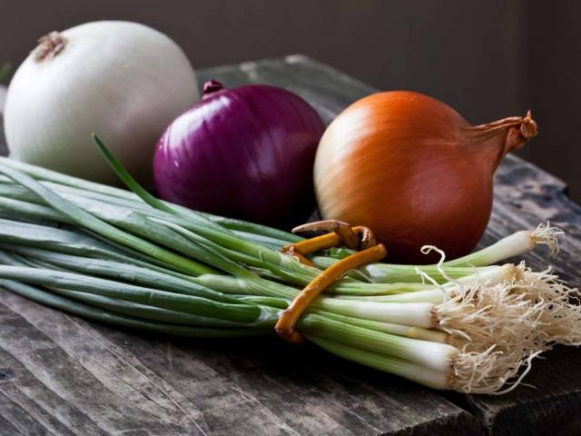 When and how to plant onions on the head