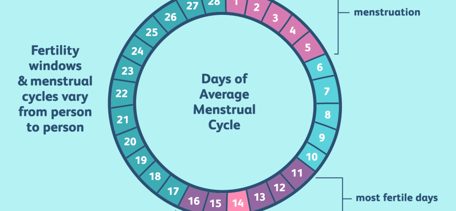 When are the fertile days after the period?