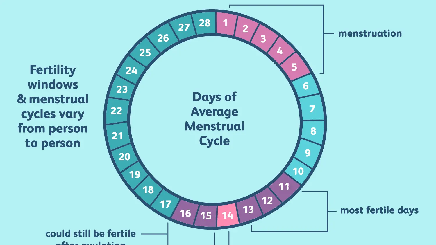 When are the fertile days after the period?