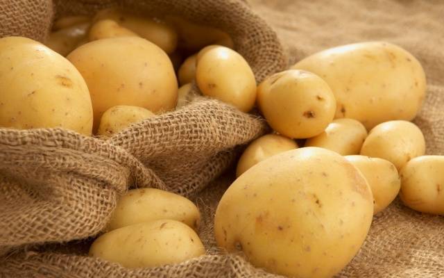 When can you dig new potatoes 