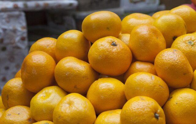 When do tangerines ripen?