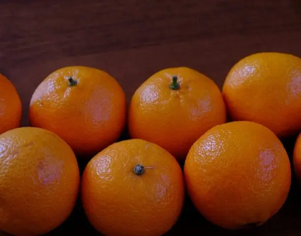 When do tangerines ripen?