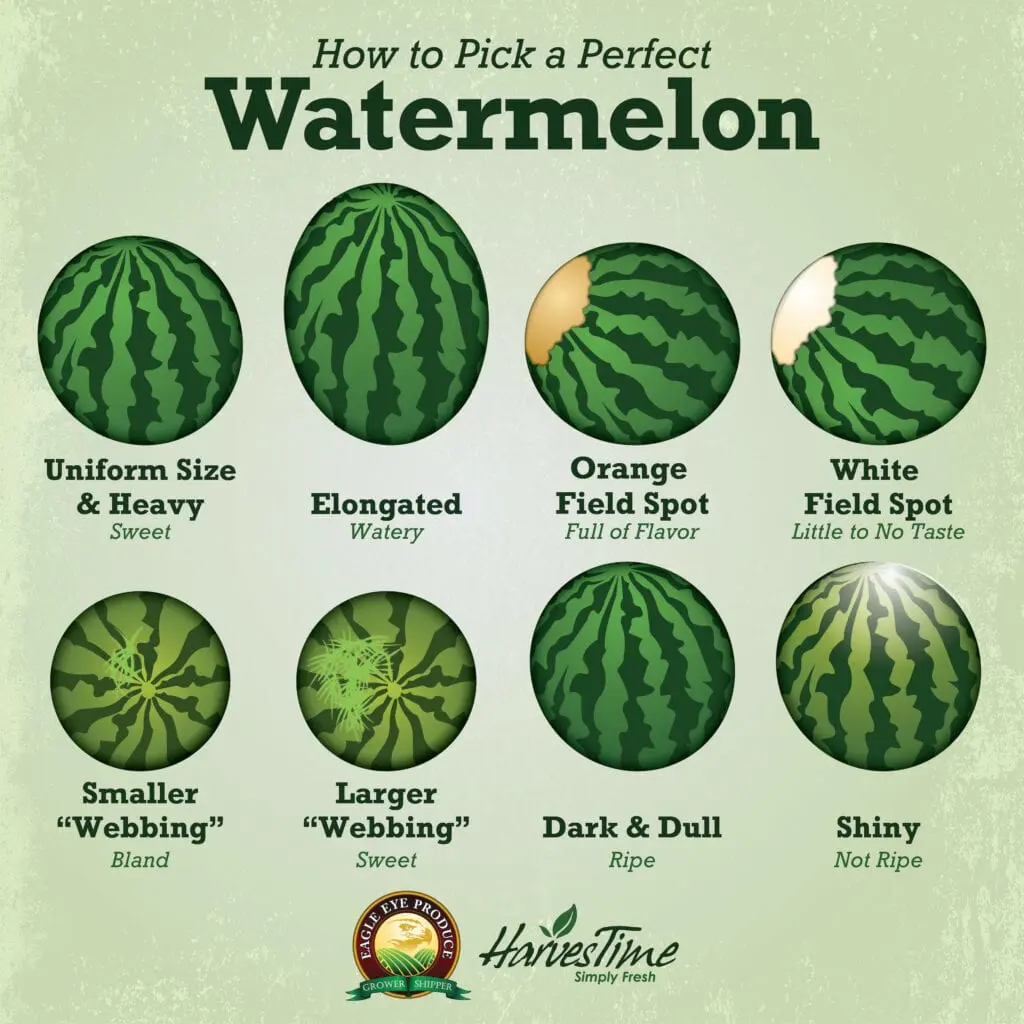 When do watermelons of different varieties ripen and how to choose a ripe one?