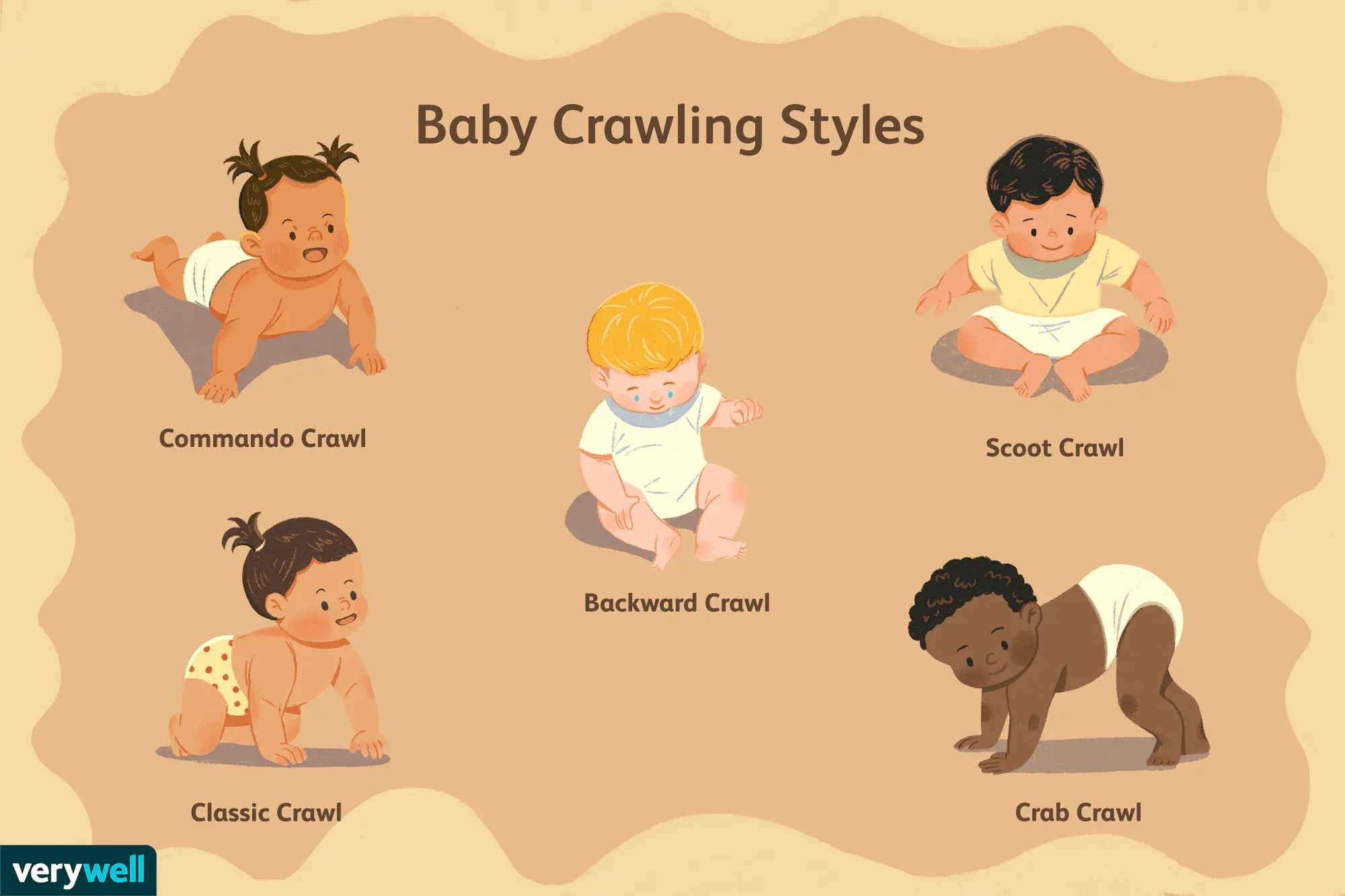 When does a baby begin to crawl?