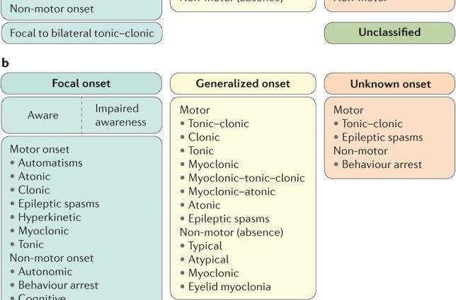 When is the risk of epilepsy greatest? The epileptologist explains