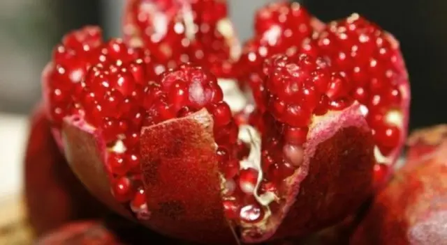 When the pomegranate sings and why it does not bear fruit