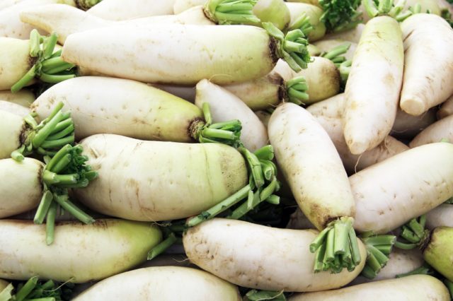 When to dig and how to store daikon