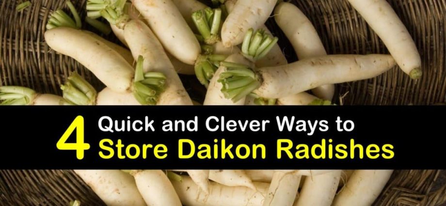 When to dig and how to store daikon