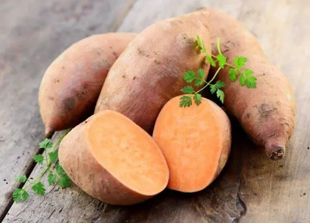 When to dig up and how to save sweet potatoes in winter