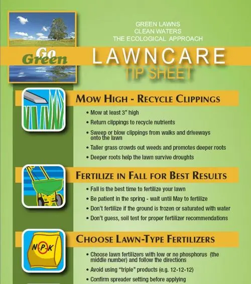 When to fertilize the lawn: timely care of the infield