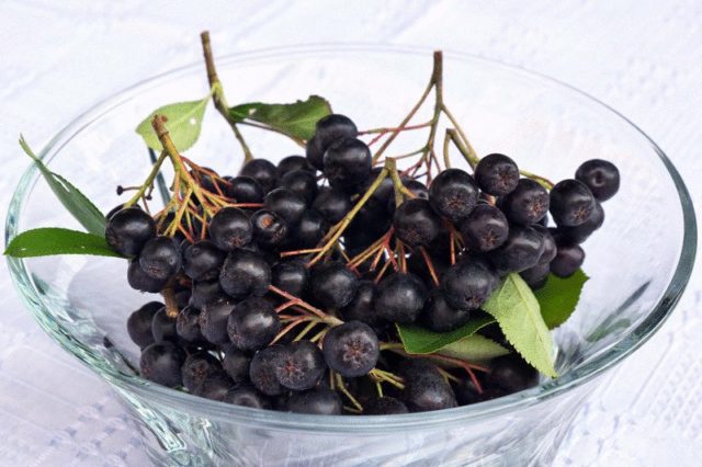 When to harvest chokeberry fruits