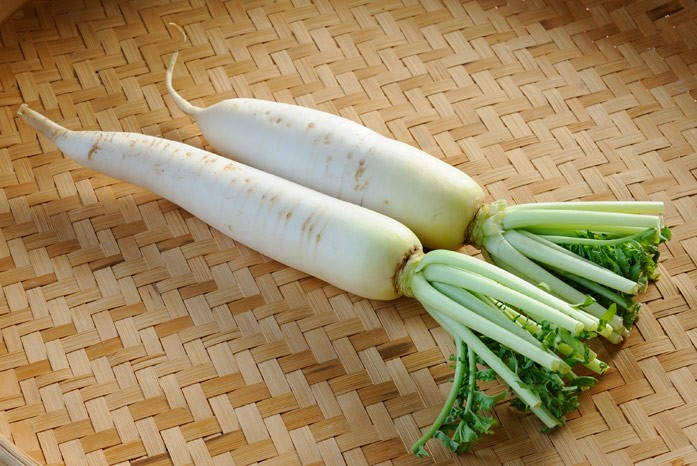 When to harvest daikon radish and how to store it: useful tips