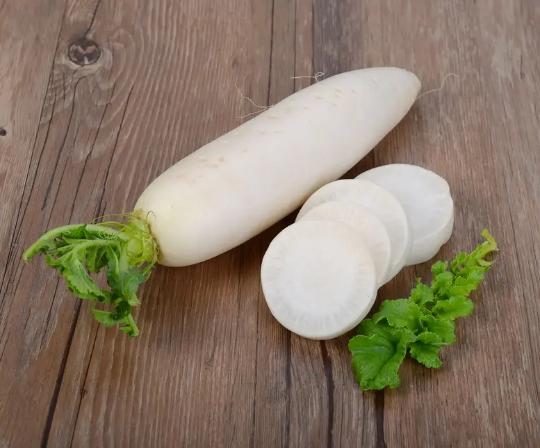 When to harvest daikon radish and how to store it: useful tips